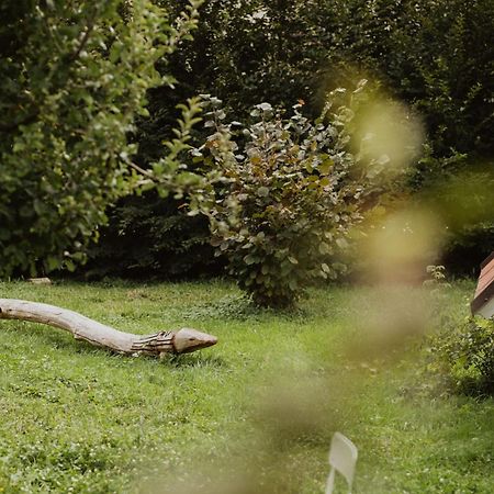 Schoene Wohnung Am Stadtrand Von Meran Valentinhof Bagian luar foto