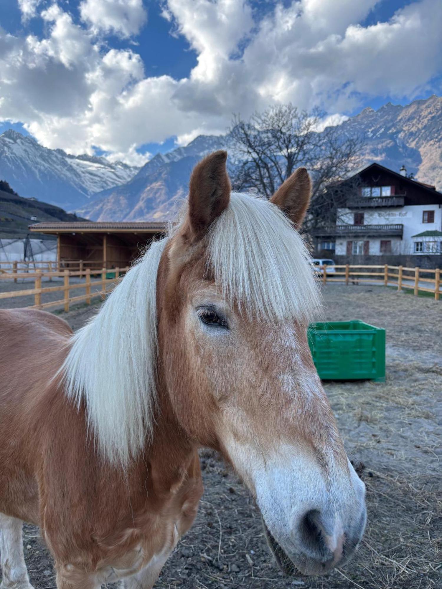 Schoene Wohnung Am Stadtrand Von Meran Valentinhof Bagian luar foto