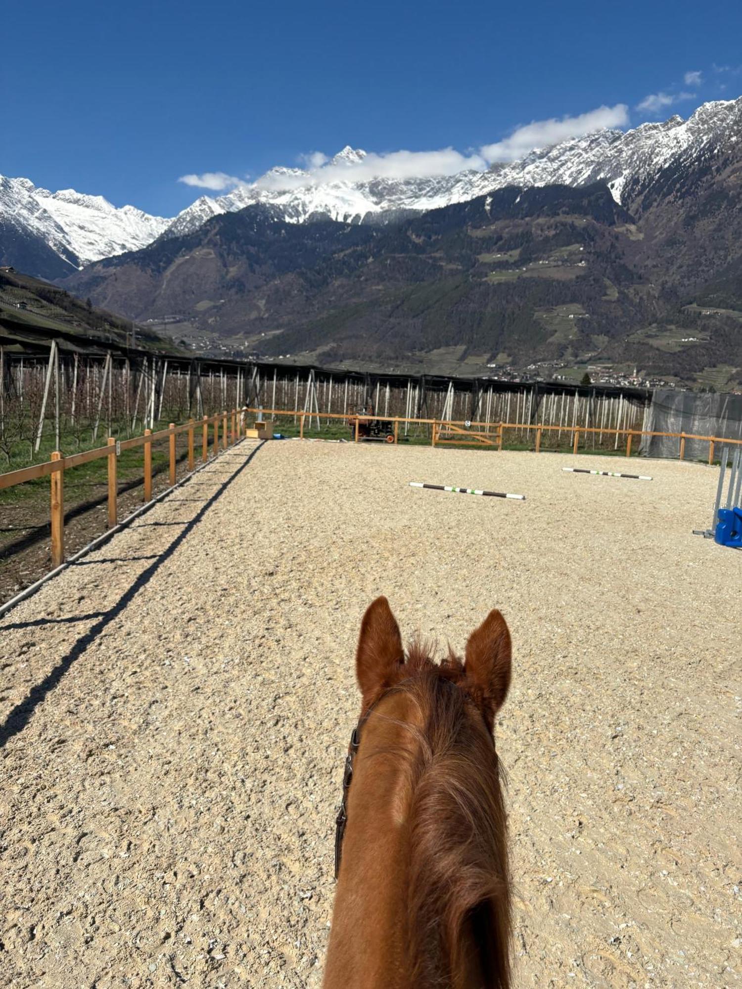 Schoene Wohnung Am Stadtrand Von Meran Valentinhof Bagian luar foto